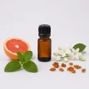 Moroccan Mint sample (5ml)
